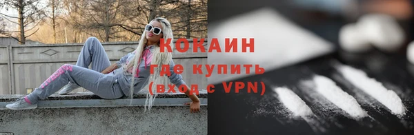 хмурый Алексин