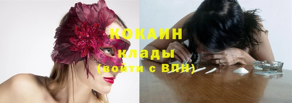 хмурый Алексин