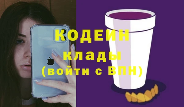 хмурый Алексин