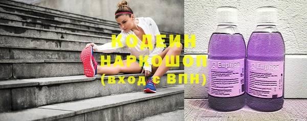 хмурый Алексин