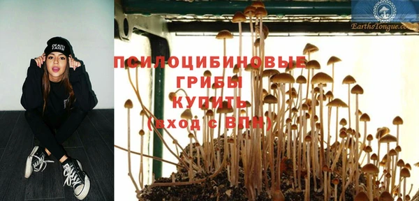 героин Алзамай